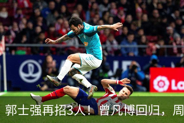 郭士强再招3人！曾凡博回归，周琦缺席，胡明轩徐杰双双被辞退